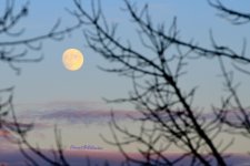 Moon at sundown.jpg