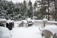 DSC_6160.jpg