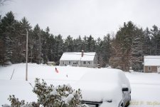 DSC_6163.jpg