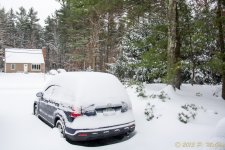 DSC_6164.jpg
