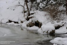 347 Choconut Creek-131215-02_01.jpg