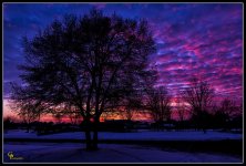 Day350Sunset.jpg