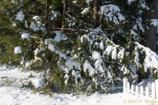 DSC_6171.jpg