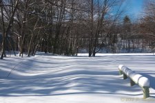 DSC_6172-Edit.jpg