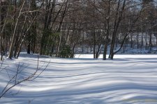 DSC_6173.jpg