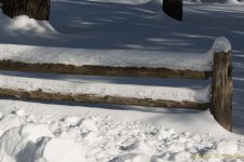 DSC_6174.jpg