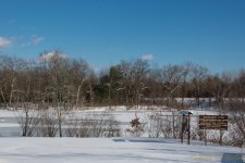 DSC_6175.jpg