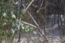 DSC_6176.jpg