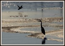 DSC_6099.jpg