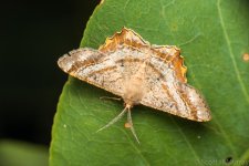 SHM_6290.jpg