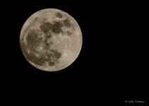 bettermoon.jpg