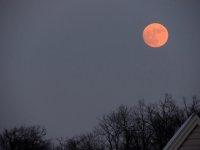 DSCN9653.jpg