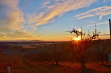 SUNRISE  5100 18 105 070 (1024x678).jpg