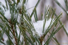 DSC_6187.jpg