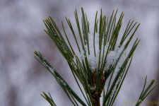 DSC_6190.jpg