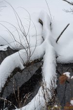 DSC_6195.jpg