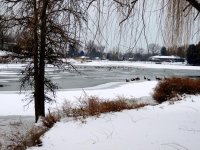 DSCN9685.jpg