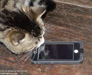 349 Alex & Phone-131217_01.jpg