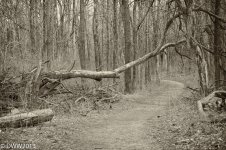 Sugarcreek Reserve Re Edit 1.jpg