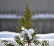 DSC_0953.jpg