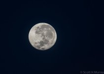 SHM_7222.jpg