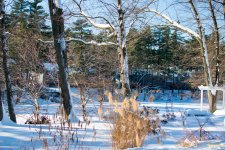 DSC_6208.jpg