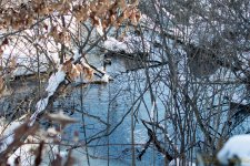 DSC_6211.jpg