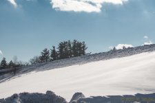 DSC_6214.jpg