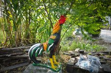 rooster-1.jpg
