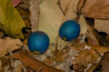 DSC_3210.jpg
