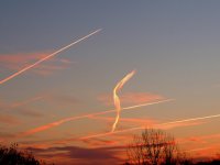 DSCN9748.jpg