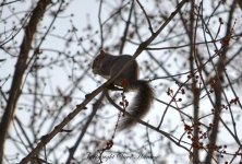 DSC_0977.jpg
