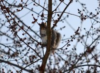 DSC_0983.jpg