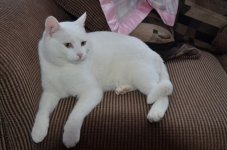 NIK_9116.jpg NIK_9116.jpg