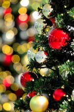 Christmas tree.jpg