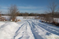DSC_6226.jpg