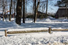 DSC_6233.jpg