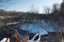 DSC_6234.jpg