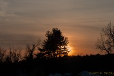 DSC_6240.jpg
