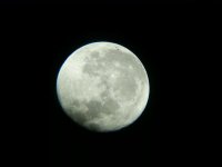 20131219_004928.jpg
