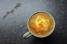 1MC_1780.jpg