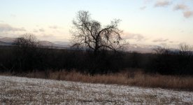 DSCF3365.jpg