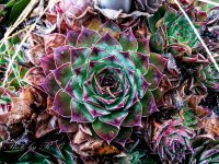 20131220-3.jpg