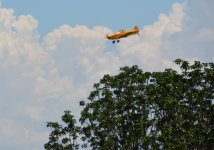 DSC_7821.jpg