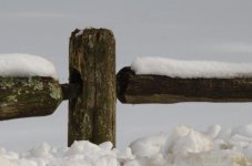 DSC_9354.jpg
