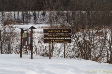 DSC_9355.jpg