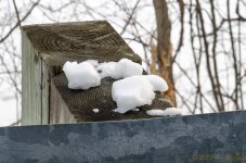 DSC_9356.jpg