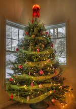 Line's Xmas tree.jpg