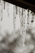 Ice5.jpg