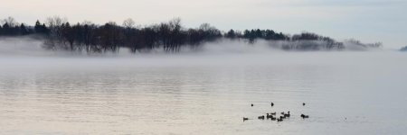 007 (1280x427).jpg